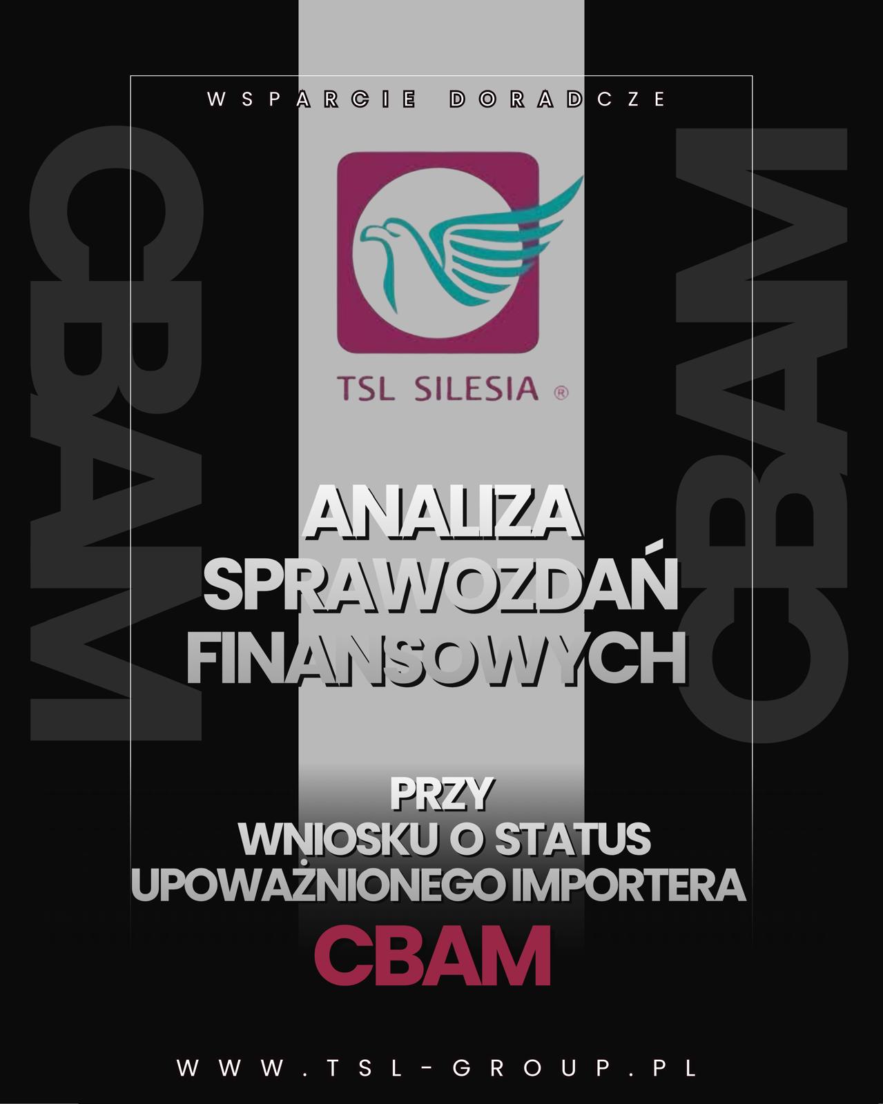 Read more about the article ANALIZA SPRAWOZDAŃ FINANSOWYCH DLA WNIOSKU O STATUS UPOWAŻNIONEGO IMPORTERA CBAM