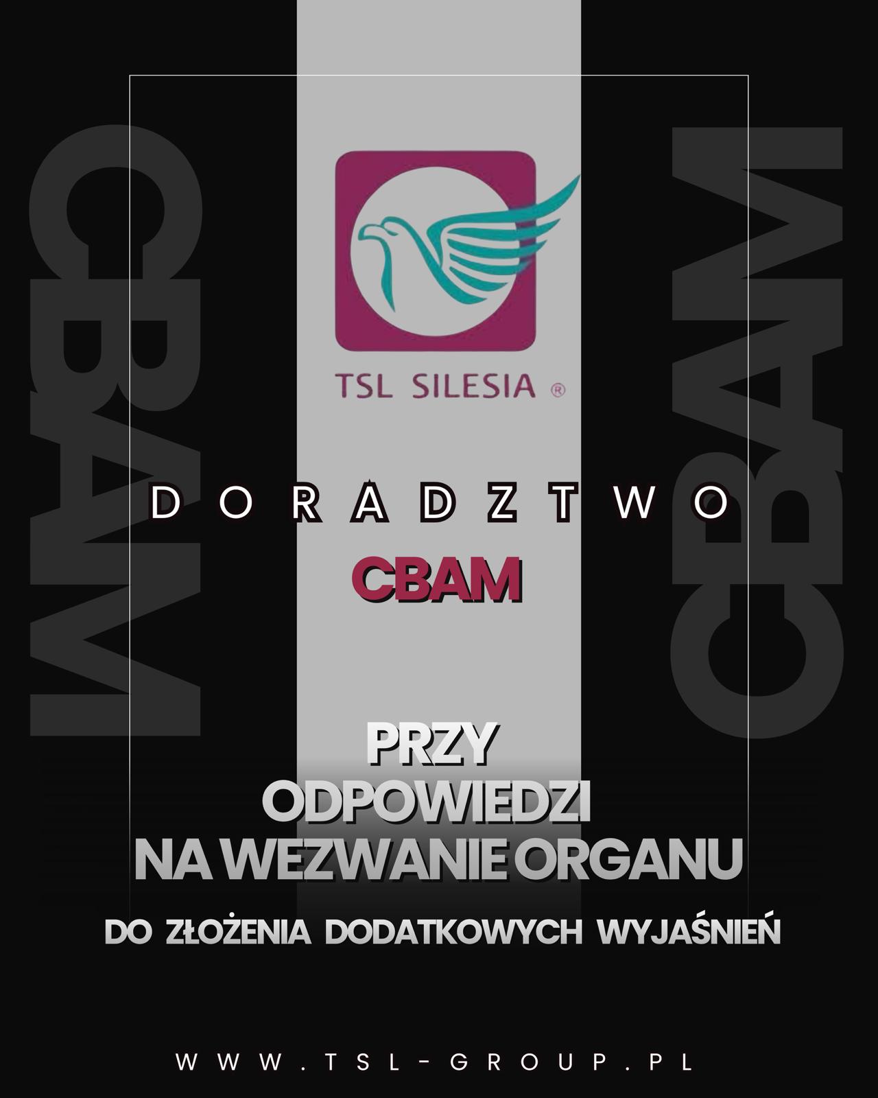 Read more about the article Wsparcie doradcze przy odpowiedzi na wezwanie do dodatkowych wyjaśnień w procedurze CBAM