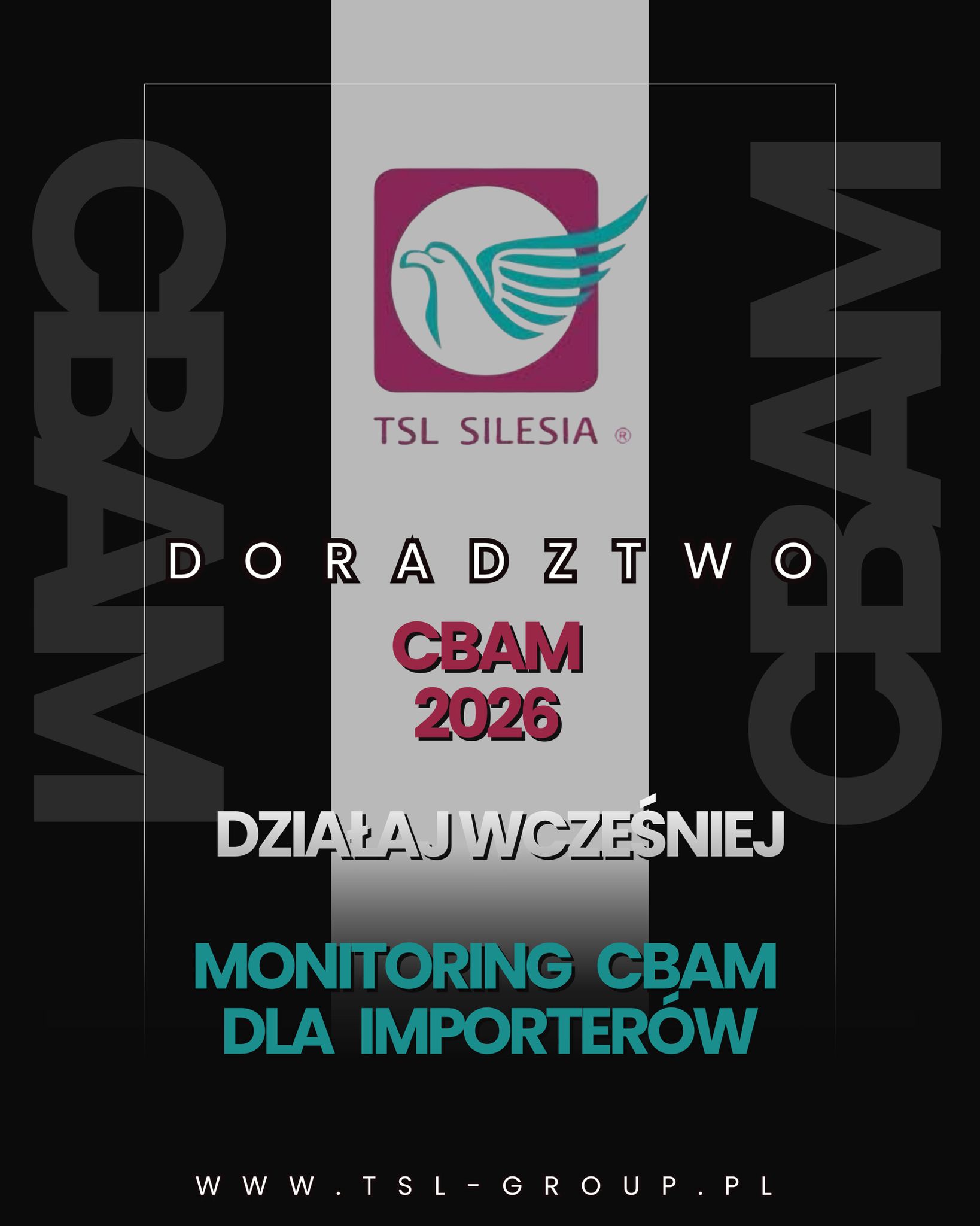 Read more about the article Wsparcie CBAM 2026 dla importerów